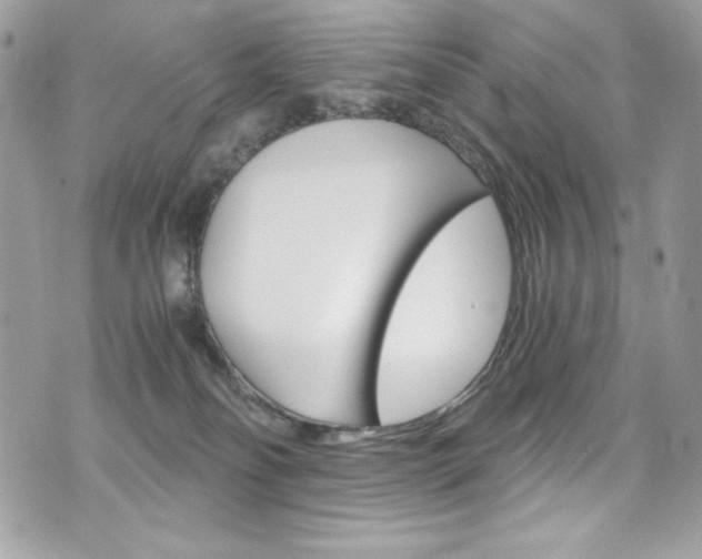 X0000073920134200608111014