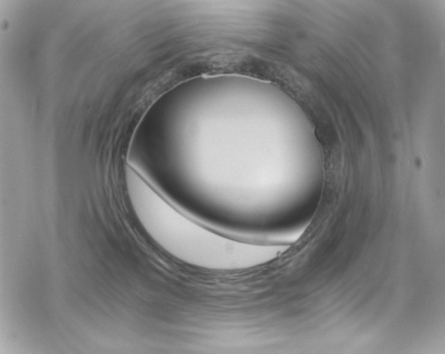 X0000073920137200608111014