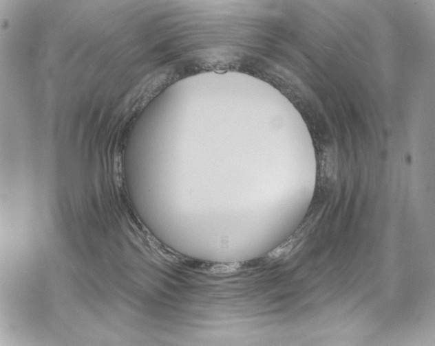 X0000073920138200608111014
