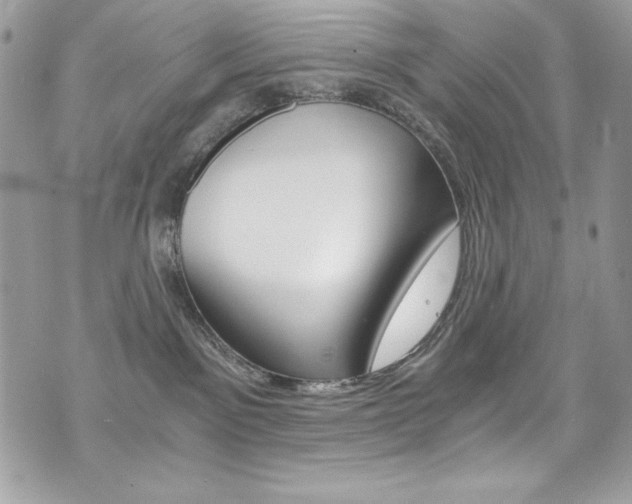 X0000073920141200608111014