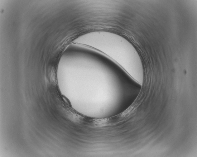 X0000073920143200608111014