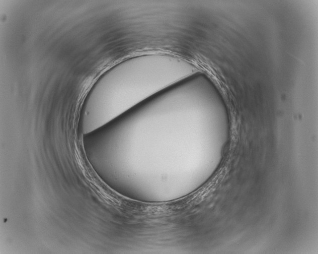 X0000073920145200608111013