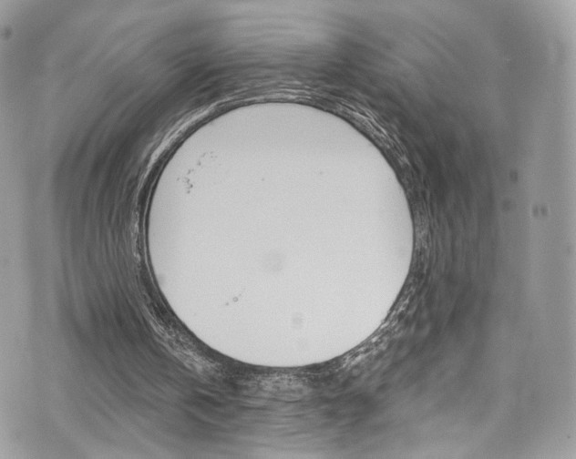 X0000073920146200608111013