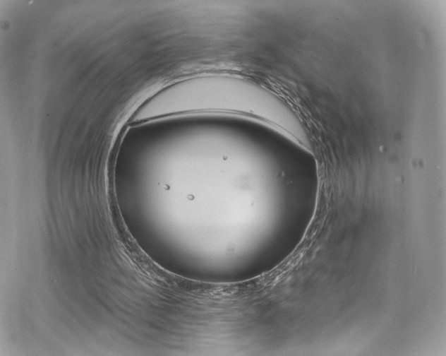 X0000073920148200608111013