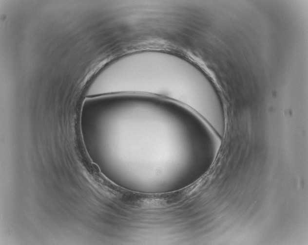 X0000073920154200608111014