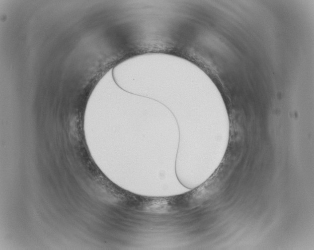X0000073920162200608111014