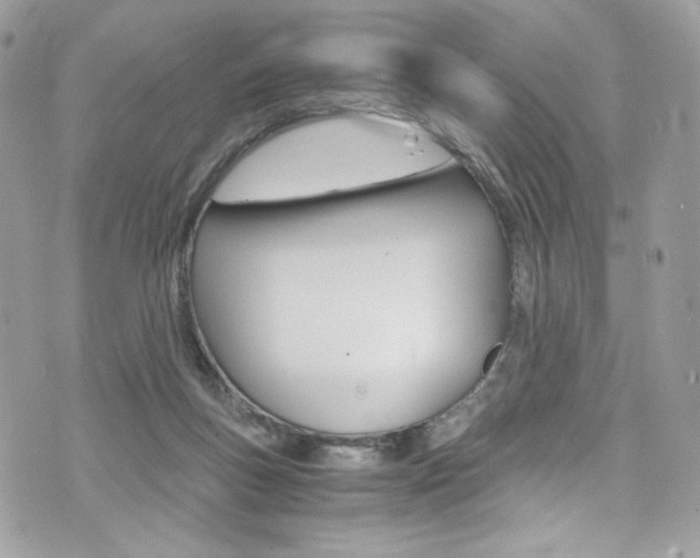 X0000073920167200608111014