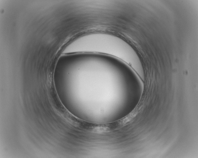 X0000073920168200608111014