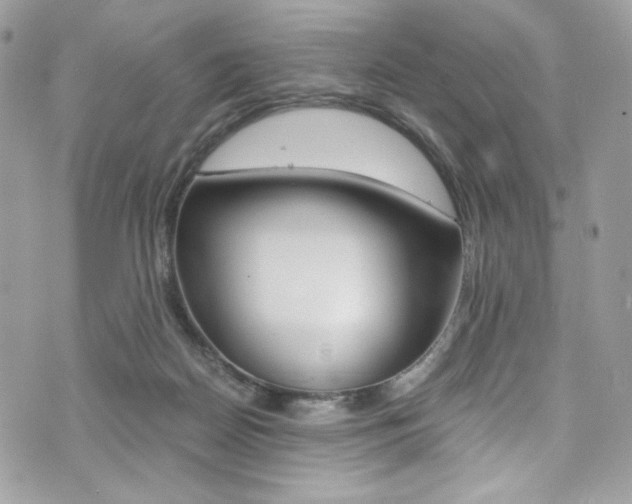 X0000073920170200608111014