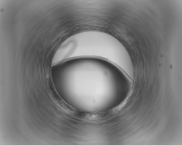 X0000073920174200608111014