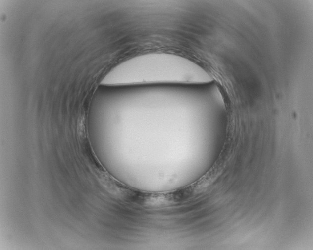 X0000073920177200608111014