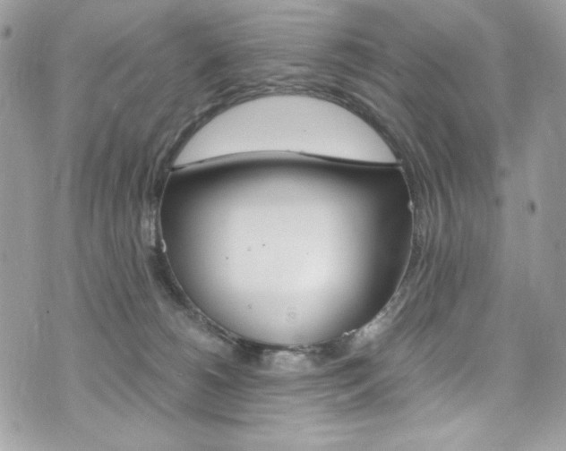 X0000073920180200608111014