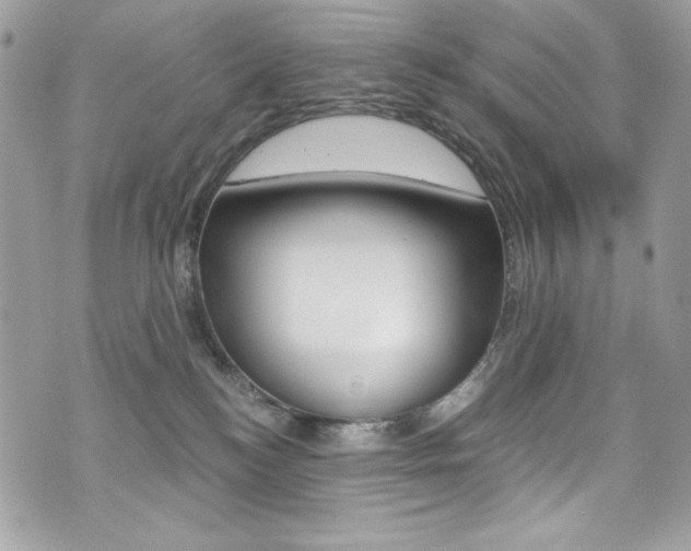 X0000073920184200608111014