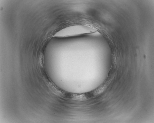 X0000073920185200608111014