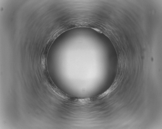 X0000073920188200608111014