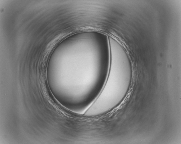 X0000073920193200608111013