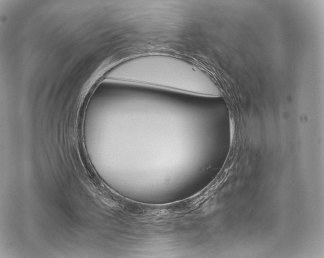 X0000073920195200608111013