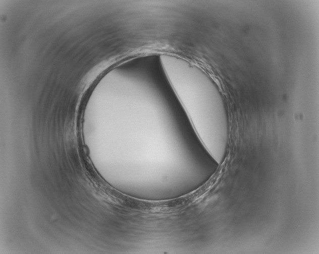 X0000073920196200608111013