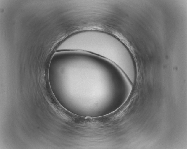 X0000073920201200608111013