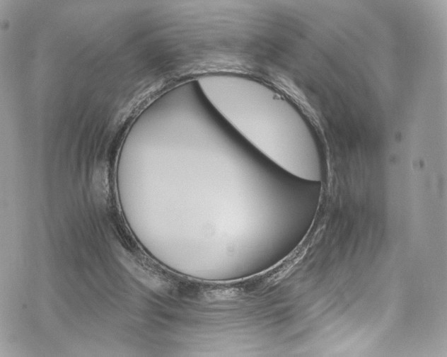 X0000073920202200608111013