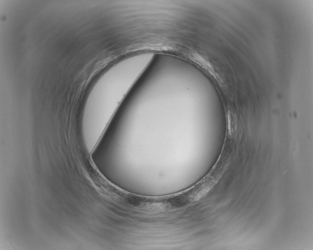 X0000073920205200608111013