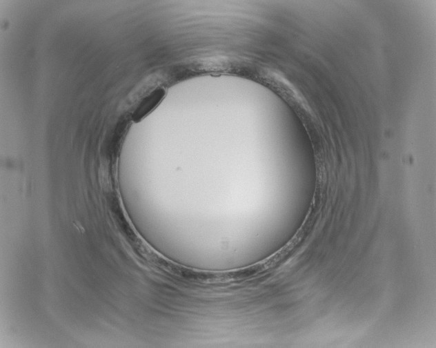 X0000073920213200608111013