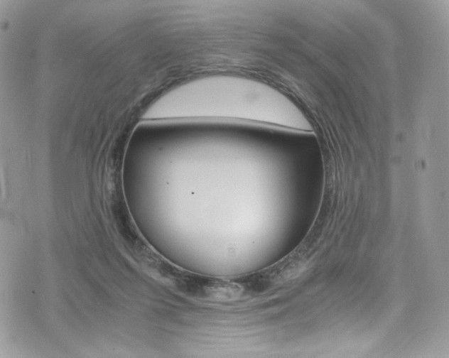 X0000073920215200608111013