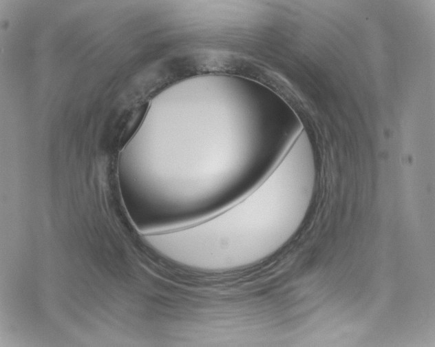 X0000073920217200608111013