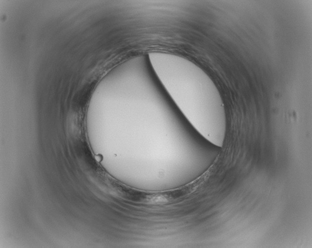 X0000073920218200608111013