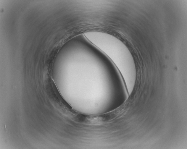 X0000073920221200608111013