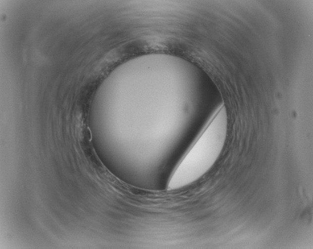 X0000073920223200608111013
