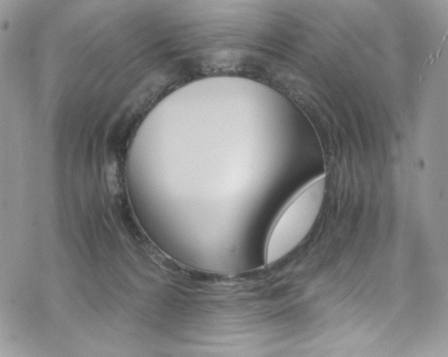 X0000073920224200608111013