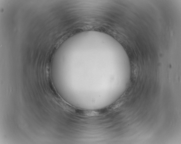 X0000073920226200608111013