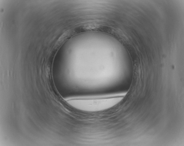 X0000073920227200608111013
