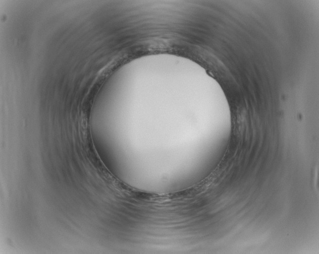 X0000073920228200608111013