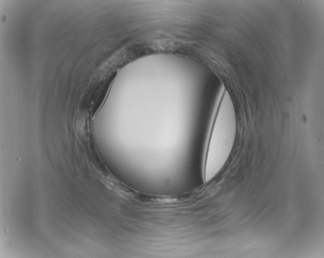 X0000073920233200608111013