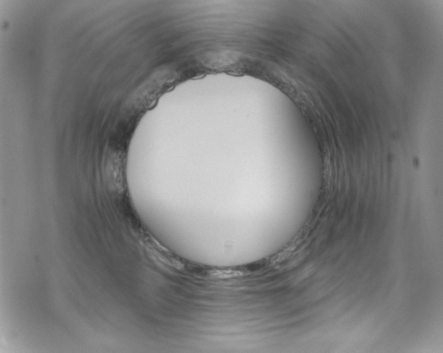 X0000073920234200608111013