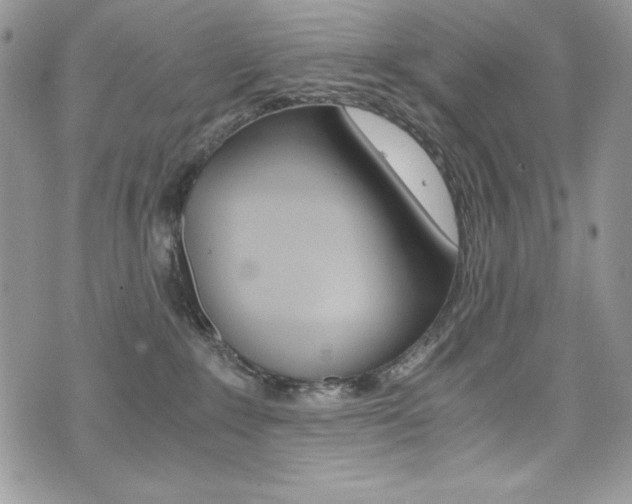 X0000073920235200608111013