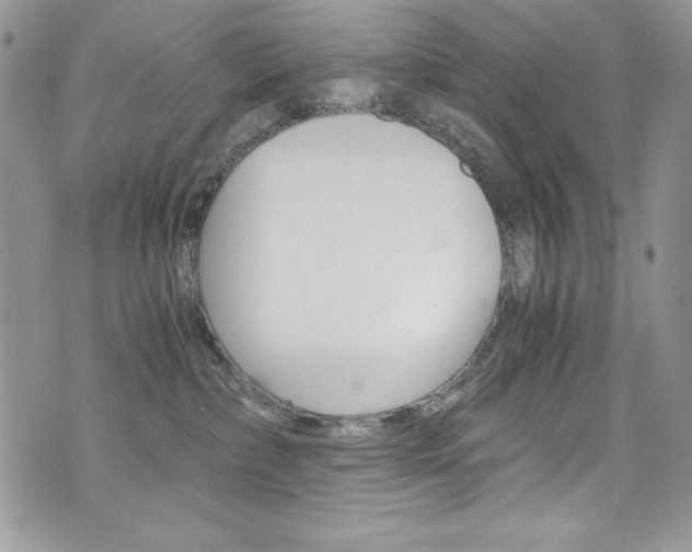 X0000073920236200608111013