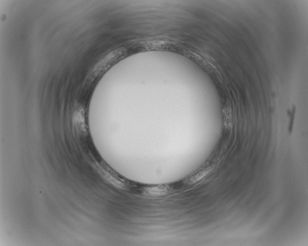 X0000073920238200608111013