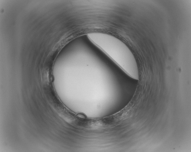 X0000073920262200608111012