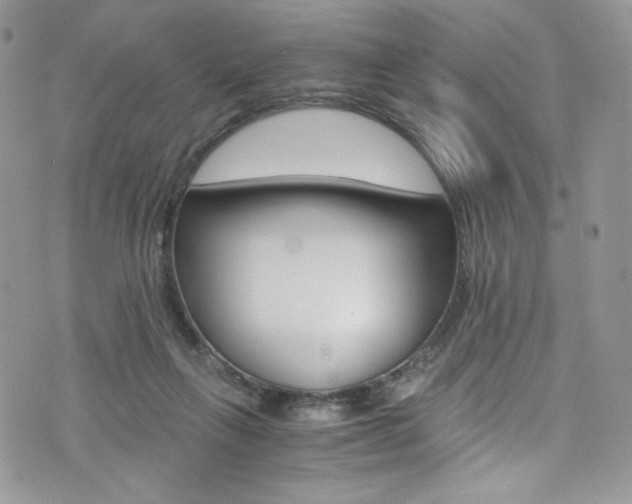 X0000073920263200608111012