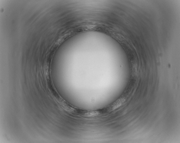 X0000073920274200608111012