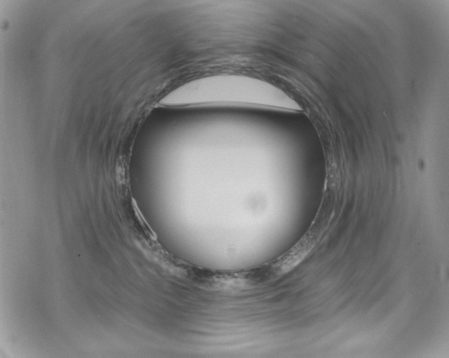 X0000073920284200608111013