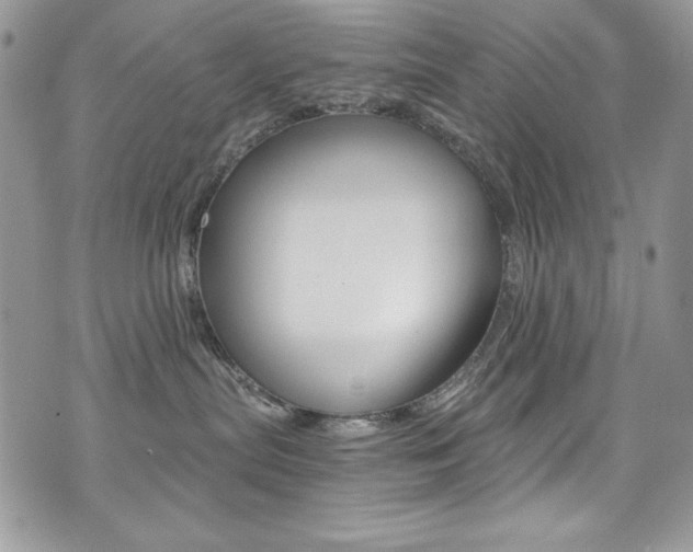 X0000073920287200608111013