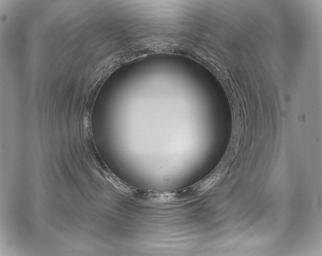 X0000073920288200608111013