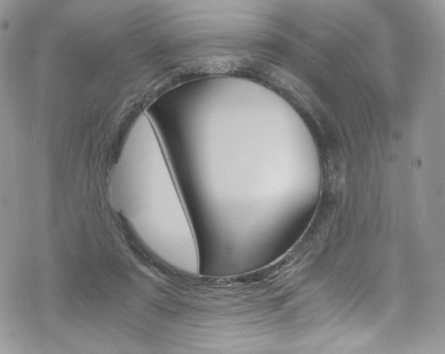 X0000073920307200608111011