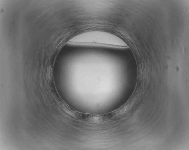 X0000073920325200608111011