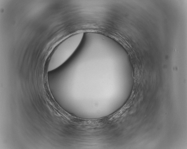 X0000073920338200608111010
