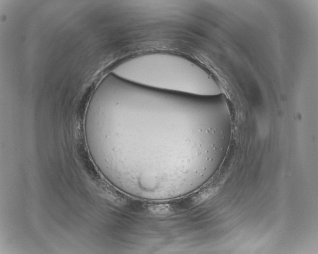 X0000073920355200608111011